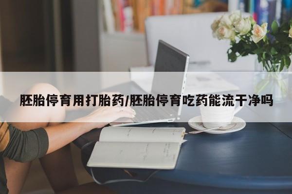 药流药联系方式胚胎停育用打胎药/胚胎停育吃药能流干净吗